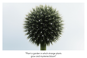 PLANTS & GROWTH Social Media Pack, an Object Graphic by Illumineer Media & Design (Thumbnail 2 of 6)