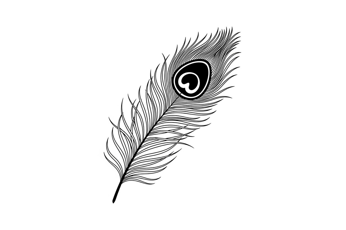 Peacock Feather Silhouette Bundle, an Illustration by jahid234 (Photo 16 of 31)