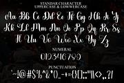 Amelia, a Handwritten Font by FreshTypeINK (Thumbnail 7 of 8)