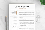 Resume/CV - The Louis, a Resume Template by CreativeLandStudio (Thumbnail 3 of 10)