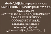 Dakosta | Retro Serif Typeface, a Serif Font by MchCrafter (Thumbnail 13 of 15)