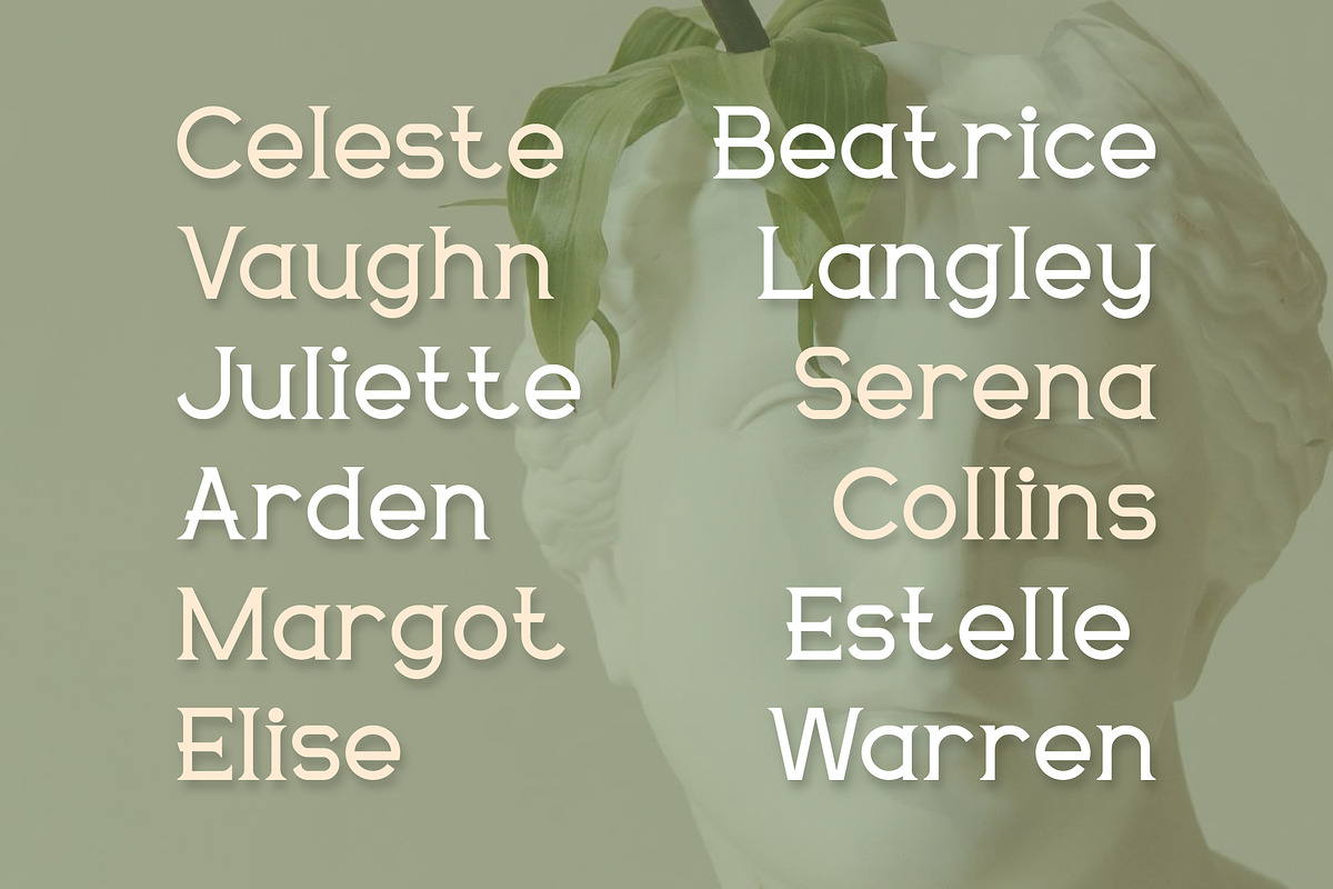 Delavine - Modern Serif Font, a Serif Font by Mily Studio (Photo 6 of 15)