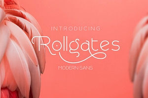 Rollgates Modern Sans