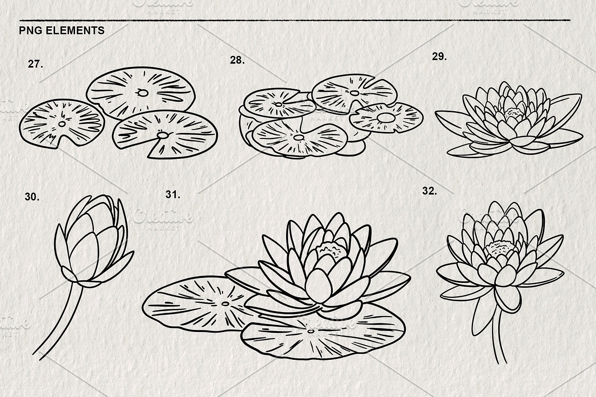 Set of water lilies and flowers PNG, a Decorative Illustration by LOKSKIH (Photo 8 of 10)