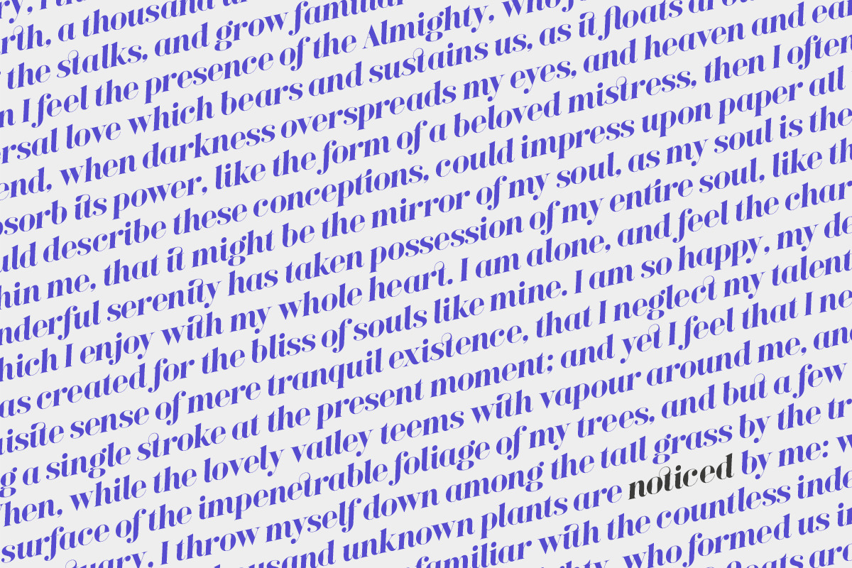 Bagoni Type, a Serif Font by Attract Studio (Photo 18 of 19)