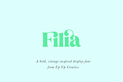 Filia Display Font, a Serif Font by Up Up Creative (Thumbnail 1 of 12)