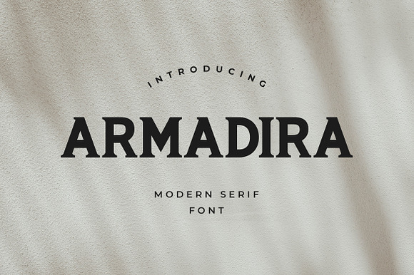 ARMADIRA Display preview 7