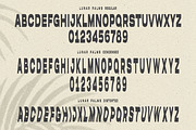 LUNAR PALMS Font, a Font by Cameron Humphries (Thumbnail 7 of 7)