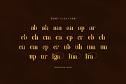 Geliga Elegant Serif Font, a Serif Font by Perfectype (Thumbnail 8 of 8)