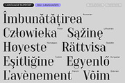 TT Moons, a Serif Font by TypeType (Thumbnail 7 of 12)