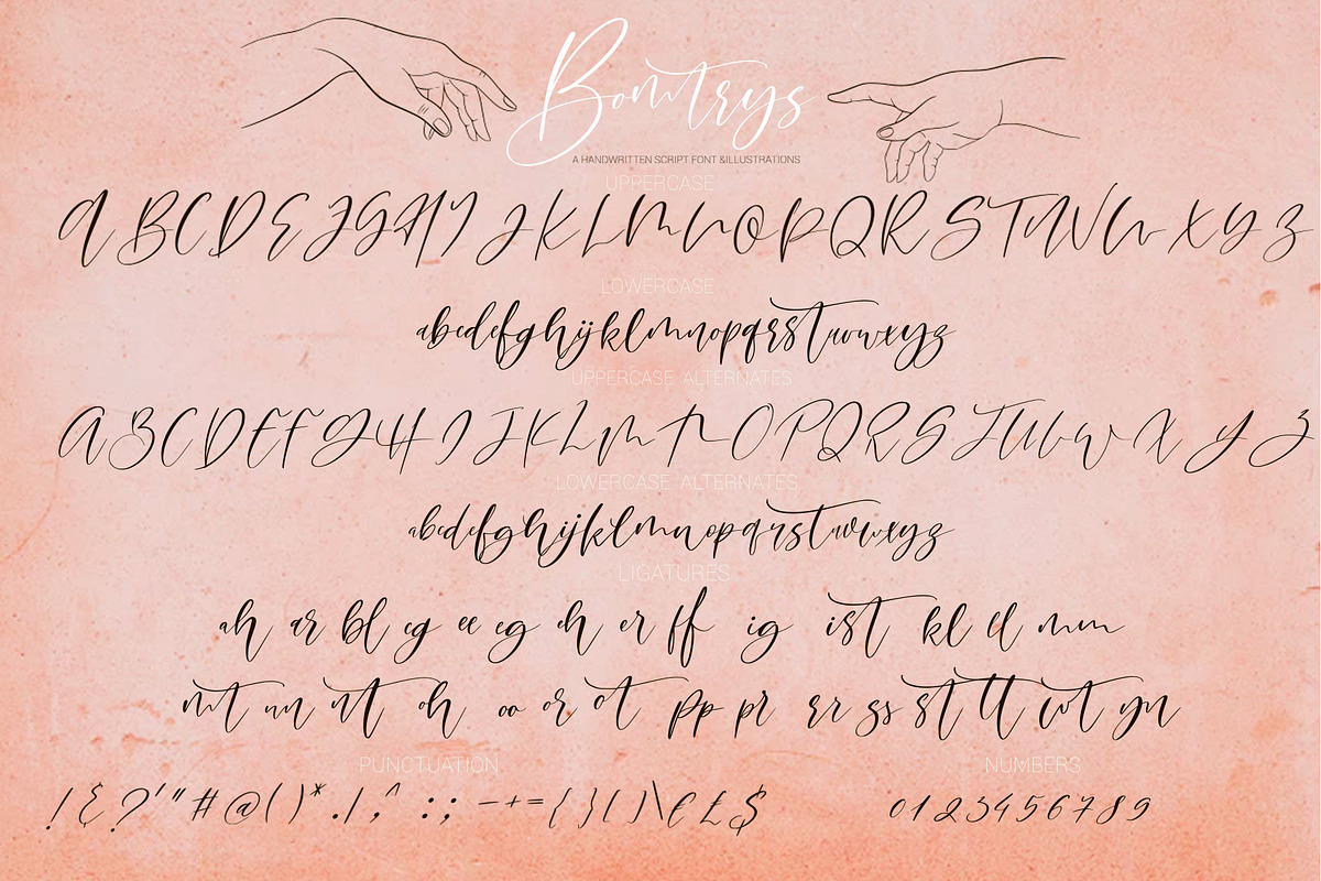 Bomtrys Script Font & Illustrations, a Script Font by CallMeStasia (Photo 12 of 13)