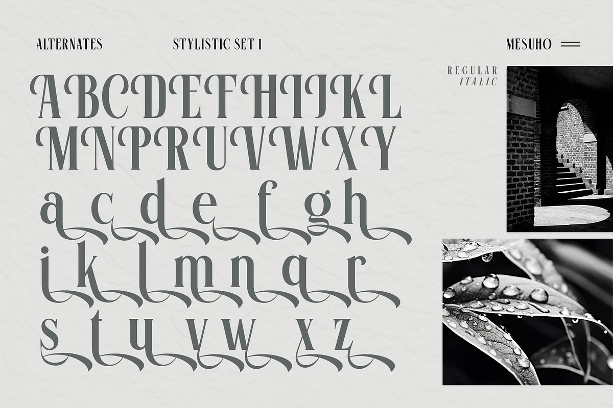 Mesuho Font, a Serif Font by alit design (Photo 6 of 17)