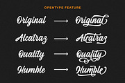 Hasdina Script, a Script Font by Beautypes (Thumbnail 4 of 7)