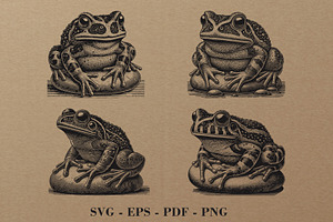 Vintage Frog Engraving Clipart, an Illustration by DevantCreate