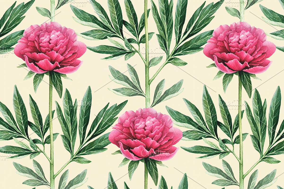 Watercolour illustrations of peonies, a Pattern Graphic by Sundra (Photo 3 of 9)