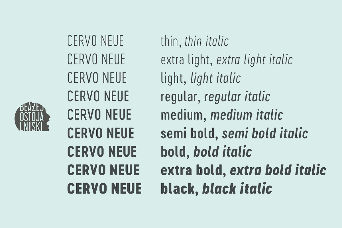 Cervo Neue 50% off, a Sans Serif Font by Blazej Ostoja Lniski (Photo 4 of 6)