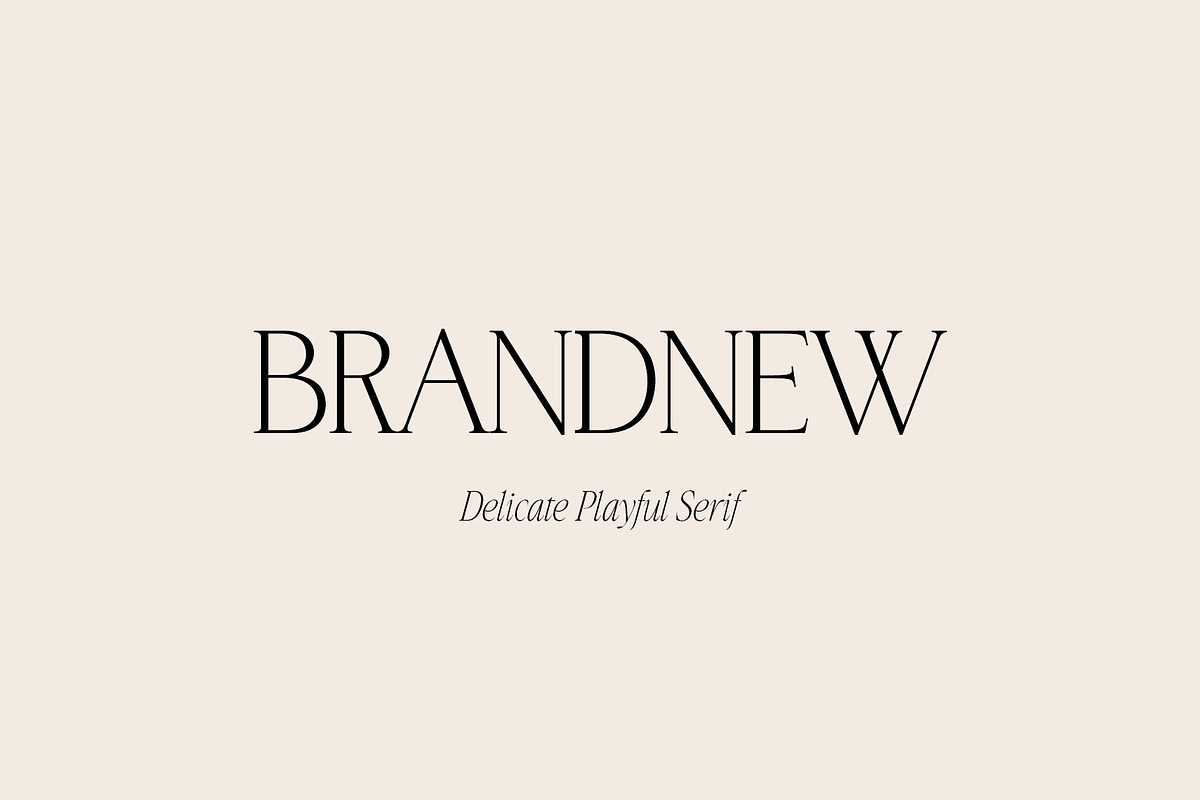 BrandNew Delicate Playful Serif, a Serif Font by BilberryCreates (Photo 1 of 10)