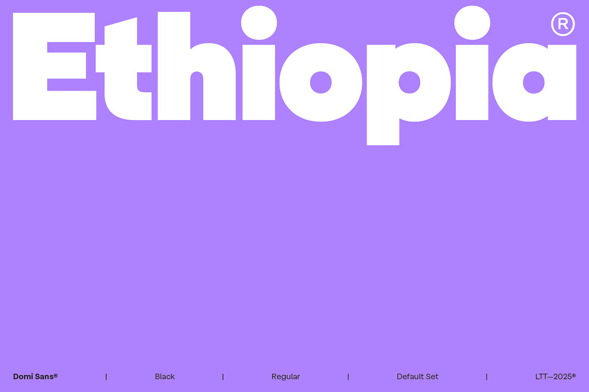 Domi, a Sans Serif Font by Latinotype (Photo 10 of 14)