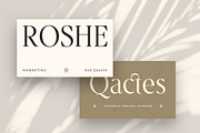 Le Saint Clair - Beauty Nostalgic, a Serif Font by Typia Nesia (Thumbnail 10 of 12)