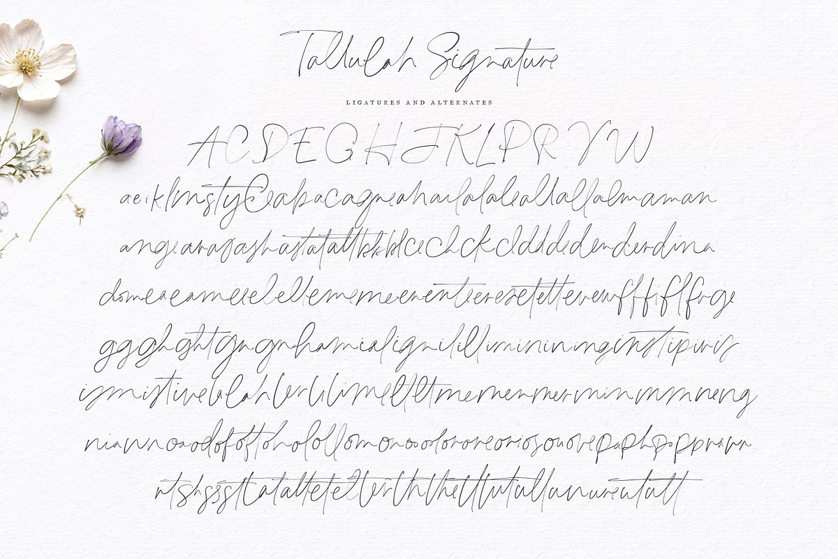 Tallulah Signature Script, a Script Font by Callie Rian & Co. (Photo 14 of 17)