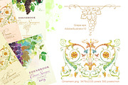 Watercolor Grapes & Ornament Set, an Illustration by Marina.Markizova (Thumbnail 5 of 5)