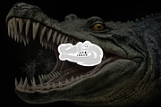 Minimalist Modern Crocodile Logo, a Branding & Logo Template by Luxury Logos (Thumbnail 2 of 4)