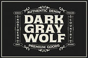 North Queen, a Serif Font by Typeskets (Thumbnail 4 of 10)