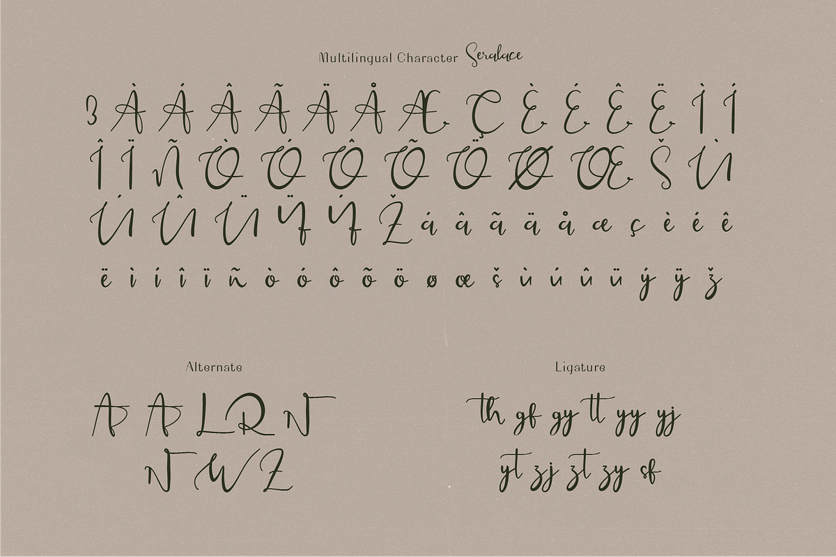 Seralace - Elegant Handwritten, a Handwritten Font by Indotype Foundry (Photo 3 of 10)