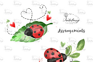 Sweet Ladybug Design