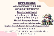 Grapevine Glitz - Handwritting, a Handwritten Font by Charmingbear59.design (Thumbnail 5 of 5)