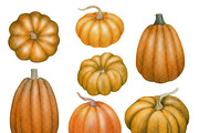 Autumn Pumpkin Watercolor Clipart, a Decorative Illustration by Watercolor Clipart (Thumbnail 2 of 4)