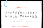 Spiff - Hand Script Font, a Script Font by VladCristea (Thumbnail 3 of 6)