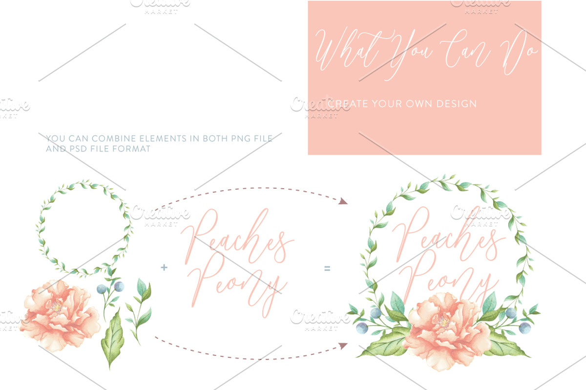 Peaches Peony, an Illustration by Lunabi (Photo 8 of 11)