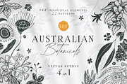 Australian Botanicals 4 in 1 Bundle, a Decorative Illustration by rouxsupplyco (Thumbnail 1 of 25)
