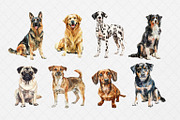 Dog Watercolor Clipart, PNGs, an Animal Illustration by Wild Honey Design Co. (Thumbnail 2 of 2)