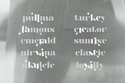Faya | Stencil Modern Ligature, a Serif Font by ClevUs (Thumbnail 9 of 11)