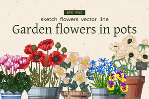 Garden Flowers In Pots. Vector