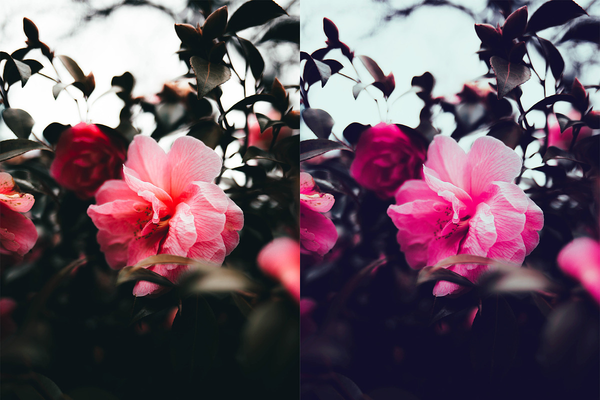 Spring Photoshop Actions, an Action Add-On by Bato (Photo 2 of 16)