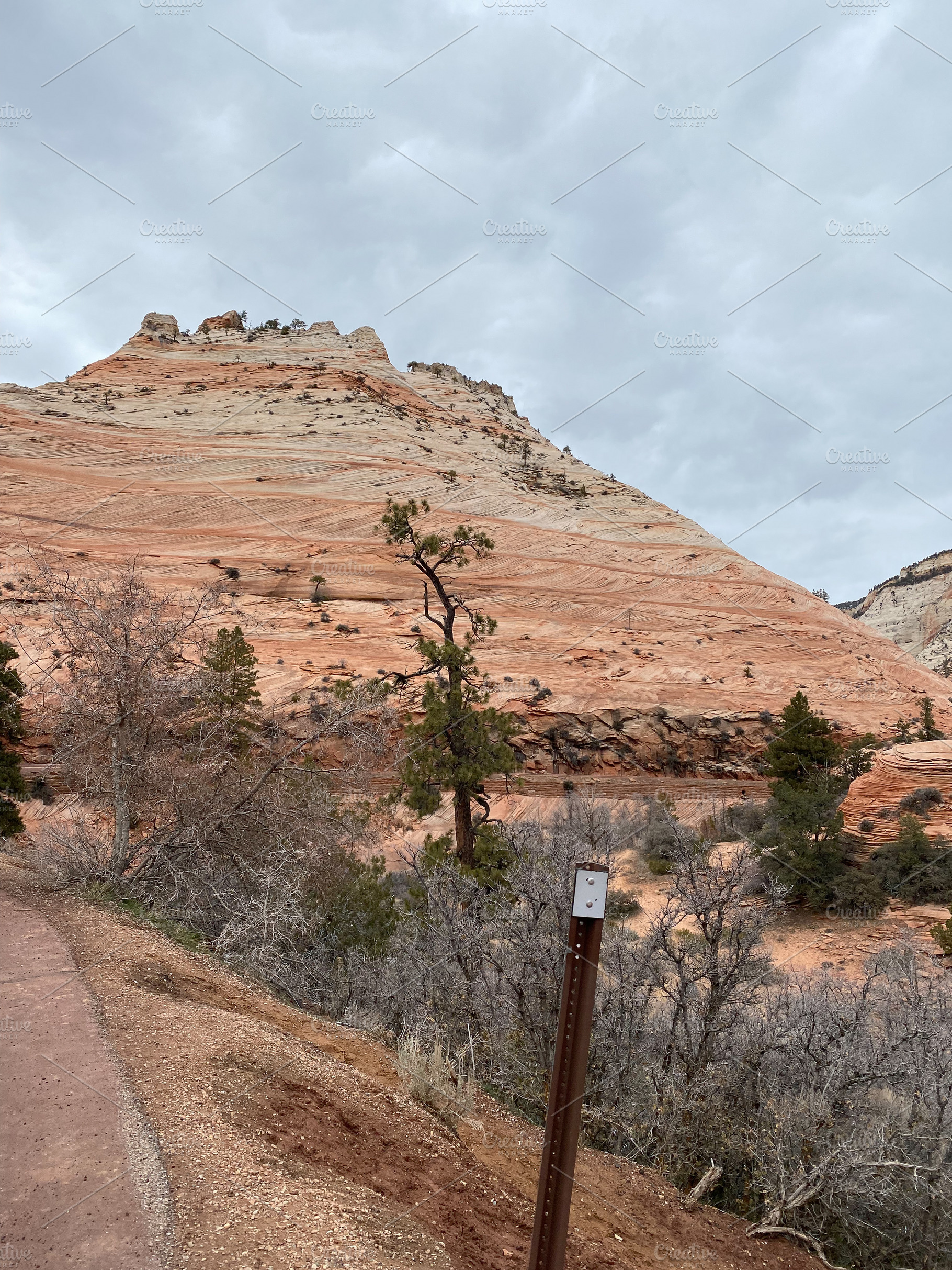 Photo of Zion Canyon in Zion National Park Along Zion Park Blvd in Springdale U, a Nature Photo by patrimonio