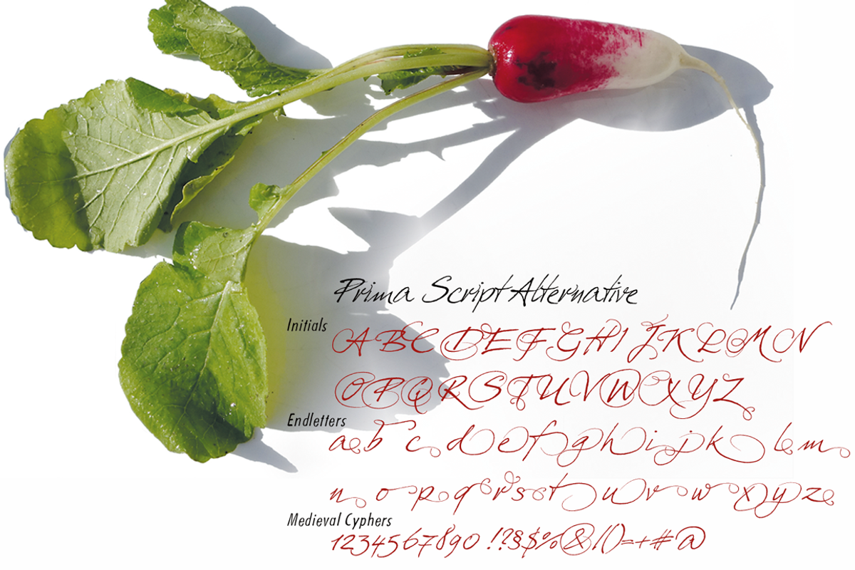 Prima Script preview 4