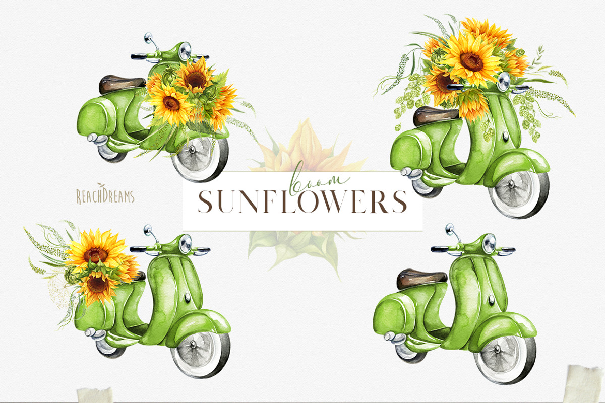 Summer sunflowers collection, an Illustration by ReachDreams (Photo 2 of 7)