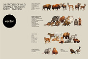 Animals of North America Vector Set, an Animal Illustration by Katerina Peres (Thumbnail 2 of 8)