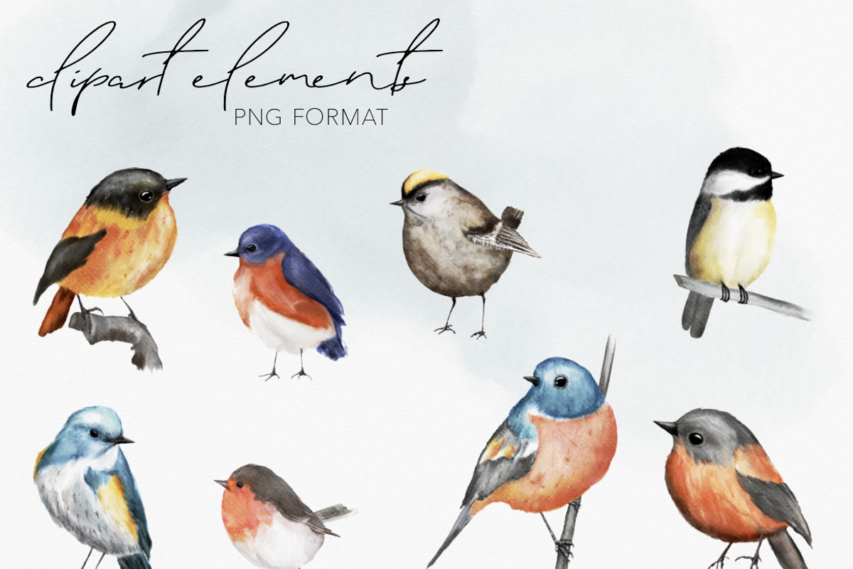 Birds & Botany: Watercolor Frames, a Texture Illustration by Wooly Pronto (Photo 3 of 6)