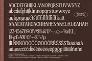 Mestalight Elegant Editorial Serif, a Serif Font by AmorfaType (Thumbnail 8 of 8)