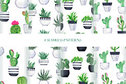 Cactus collection, an Illustration by Watercolor & sketches (Thumbnail 5 of 7)