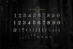 Leyton Typeface