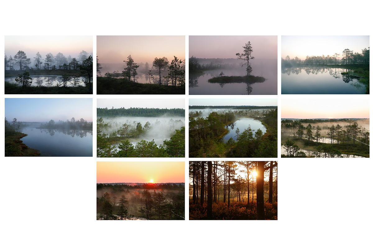 10 IMAGES-The Bog Nature Collection, a Nature Photo by Nordic Quarter ...