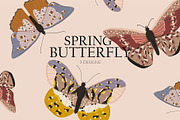 Seasonal Botany BUNDLE, an Object Graphic by Ruslana Lubenets (Thumbnail 52 of 100)