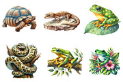 Watercolor Reptile Clipart Amphibian, an Illustration by CreationArt (Thumbnail 2 of 5)