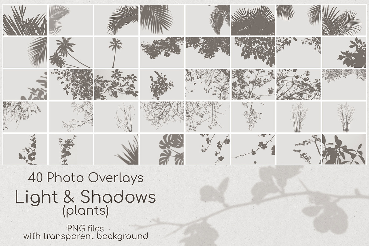 40 Plant Shadows Overlays preview 2